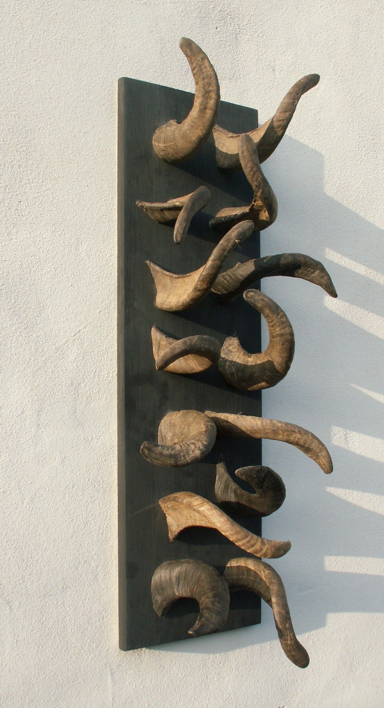 siebenmalpaarsymbole  2001 sieben Paar Hörner von Heidschnucken-Lamm-Böcken 